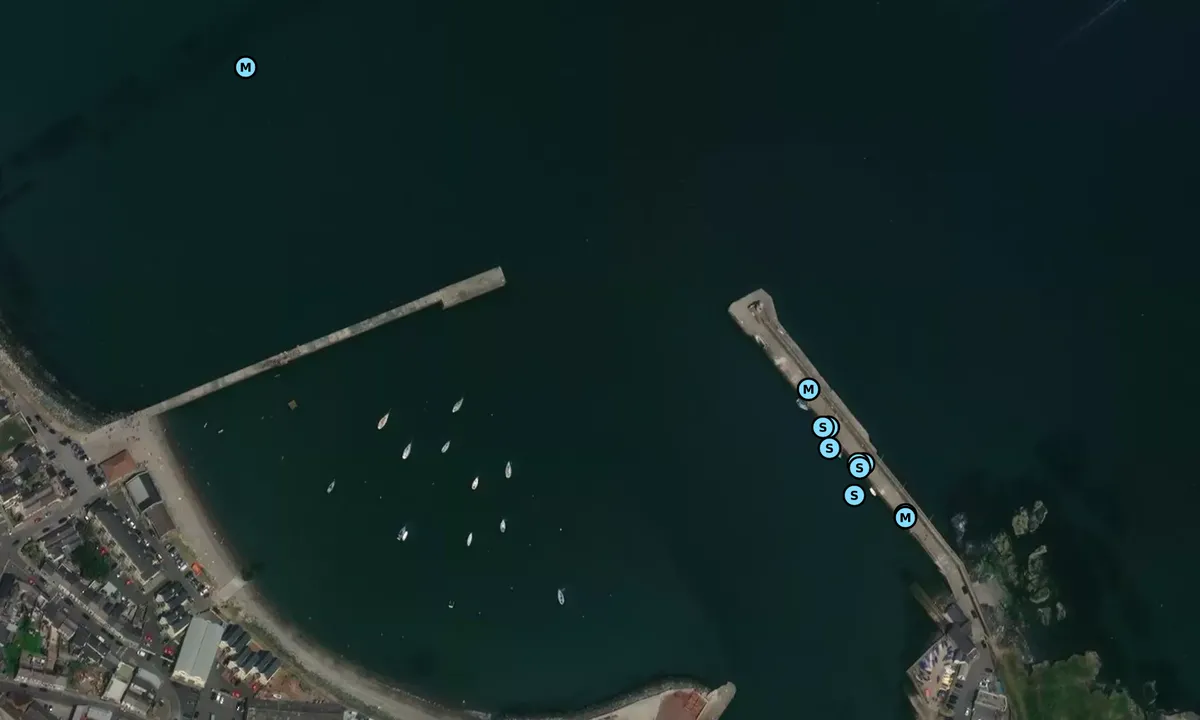 Satelite image of Wicklow Harbour 1