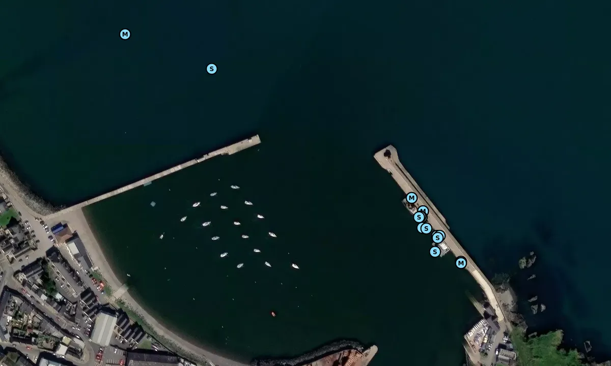 Satelite image of Wicklow Harbour 1