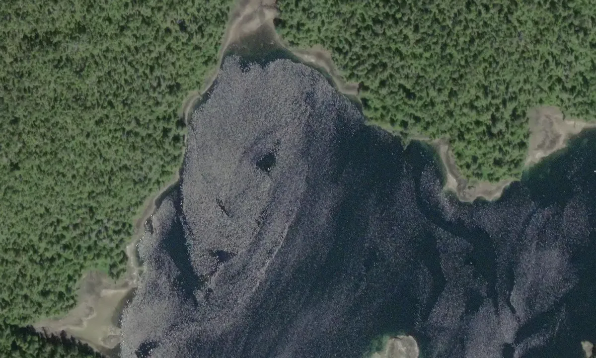 Satelite image of Wigham Bay