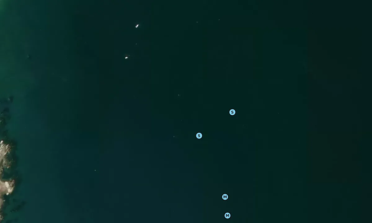 Satelite image of Wildwood Park