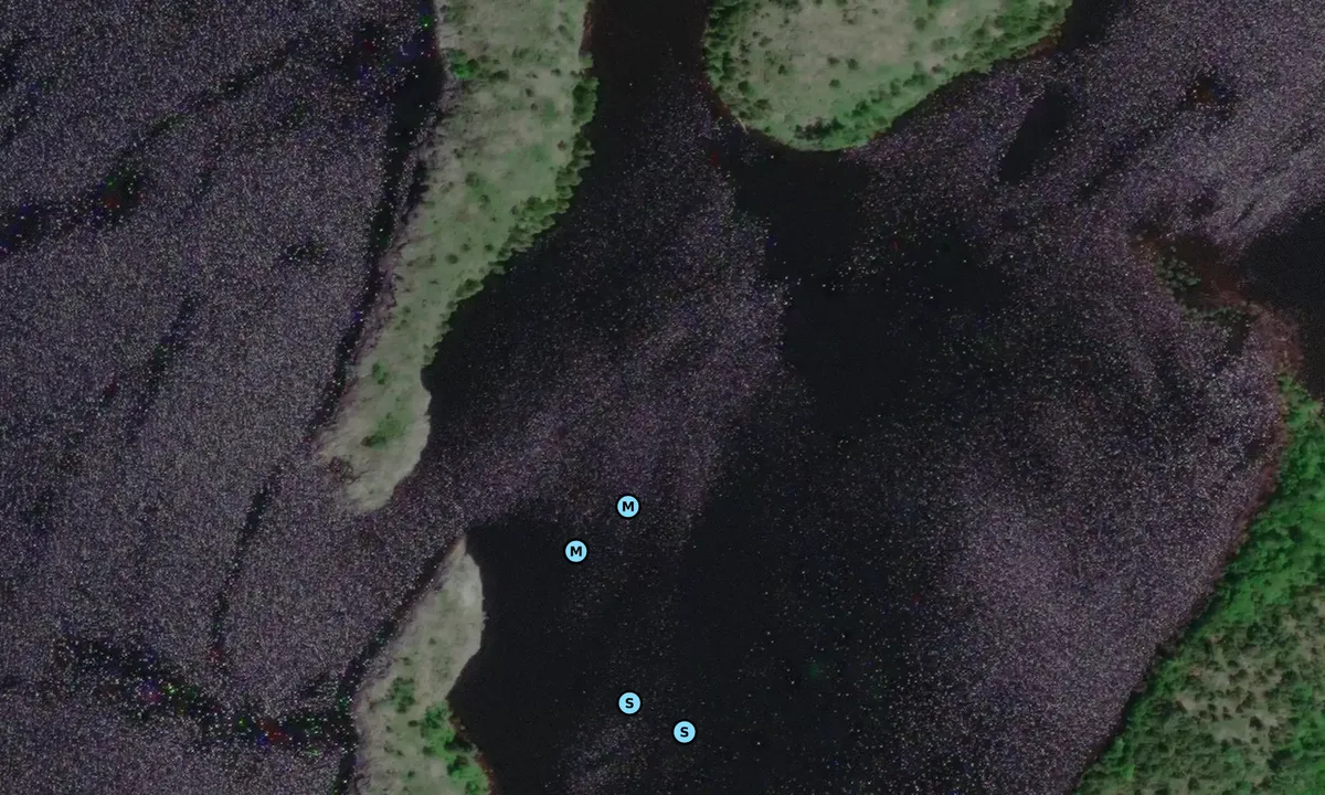 Satelite image of Wilford-Laurier
