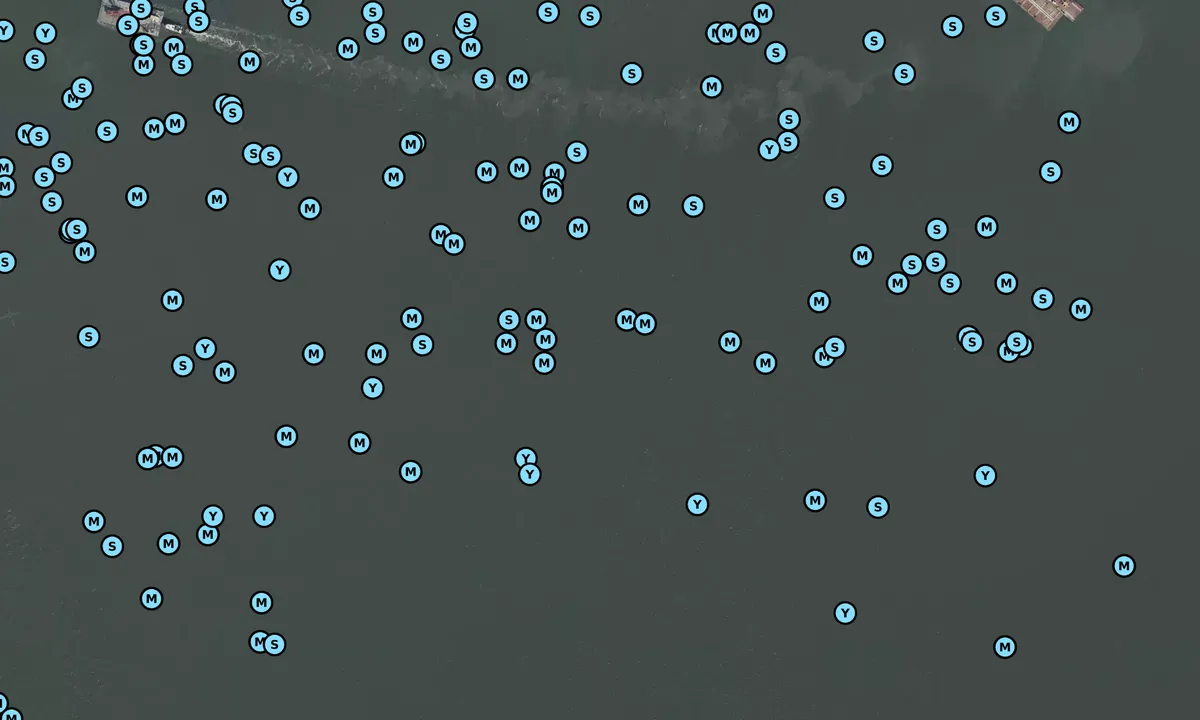 Satelite image of Willoughby Bay