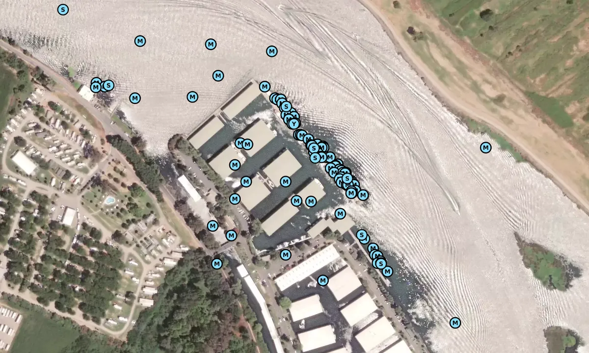 Satelite image of Willow Berm Marina