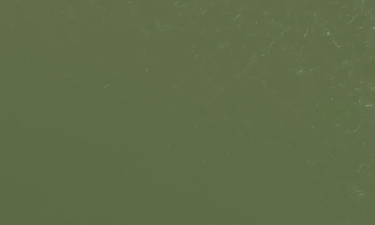 Satelite image of Wilson Point