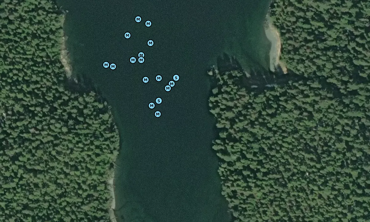 Satelite image of Windham Bay Entrance Nook
