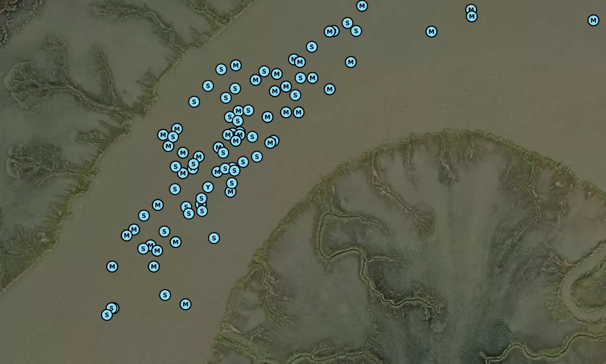 Satelite image of Wolf Island National Wildlife Refuge