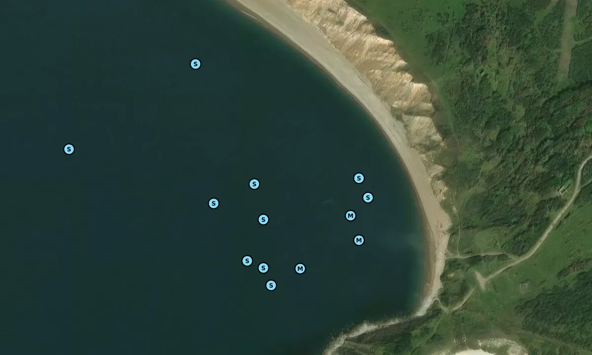 Satelite image of Worbarrow Bay