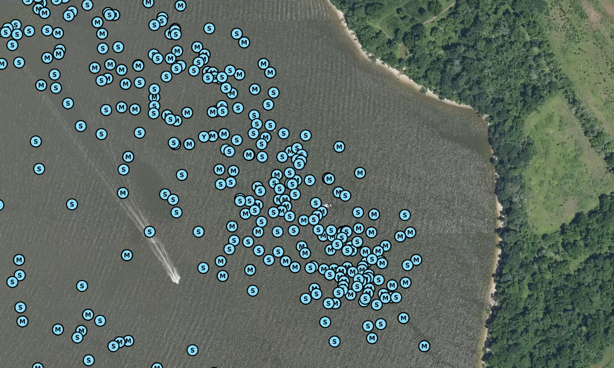 Satelite image of Worton Creek