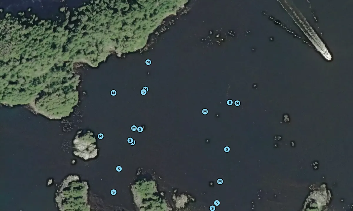 Satelite image of Wouwer Island