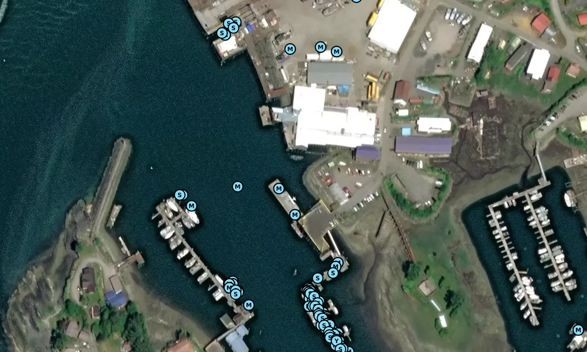 Satelite image of Wrangell Port and Harbor