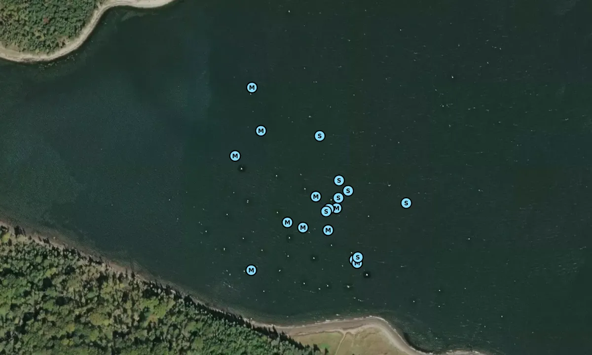 Satelite image of Wreck Cove
