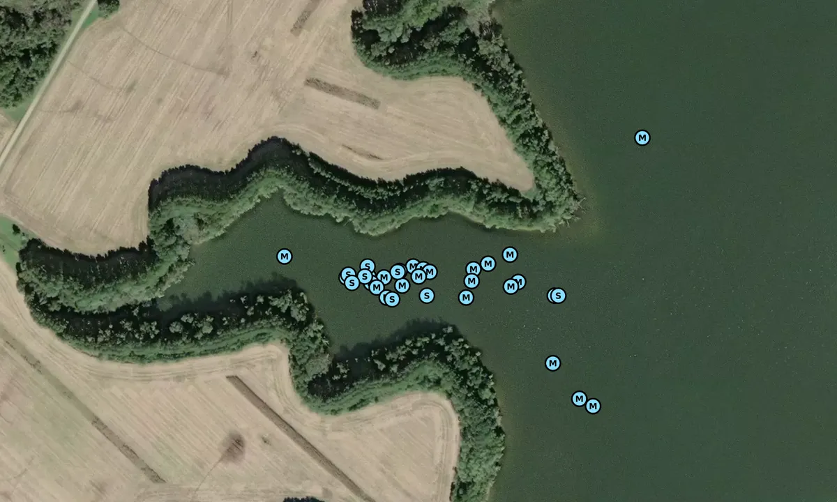 Satelite image of Wye Island