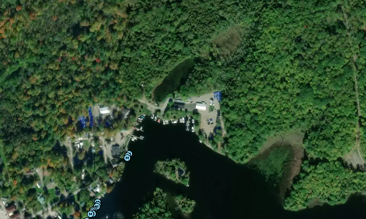 Satelite image of Young's Point Marina