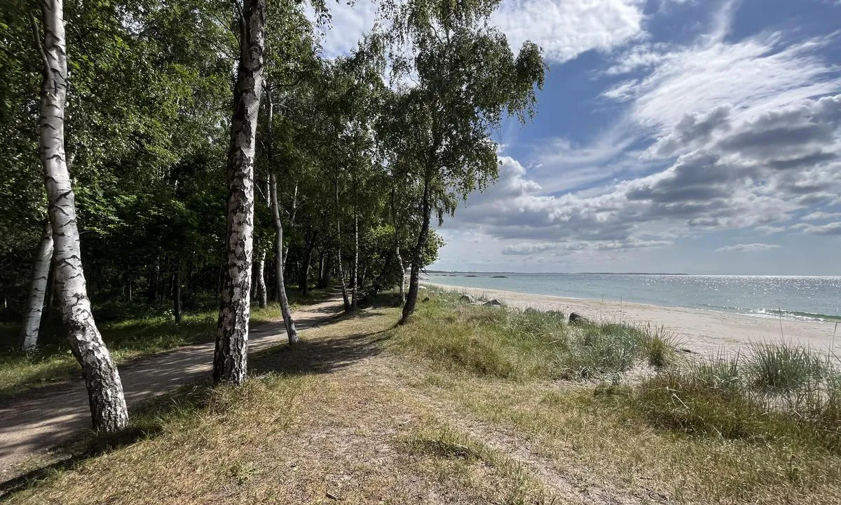 Sandskogen, rett øst for Ystad anbefales! Stien går langs en fantastisk strand.