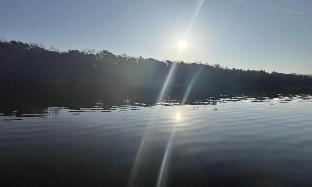 Zeuthener See (km 3): Blick NE