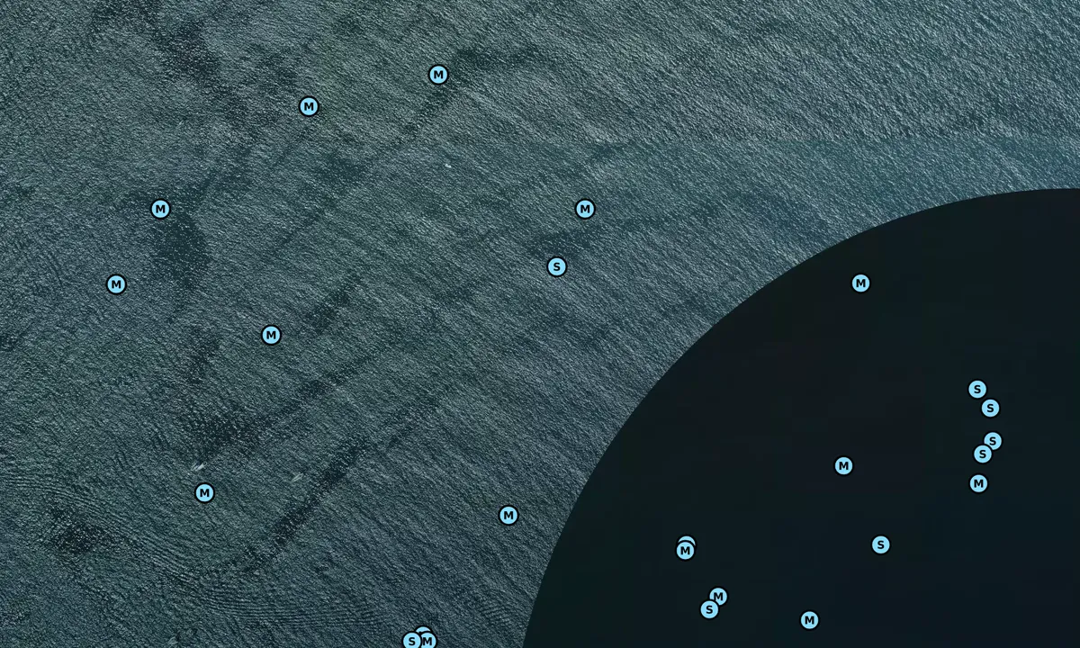 Satelite image of Zuniga Shoal