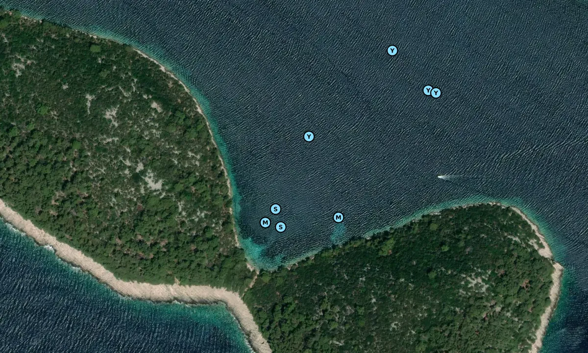 Satelite image of Zvirnovik
